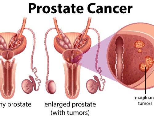 What does the Prostate do for a Man?