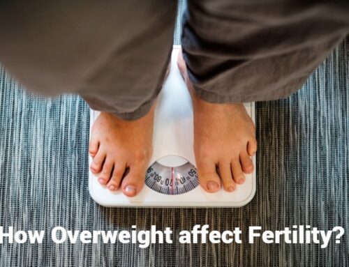 How does being Overweight affect Fertility?