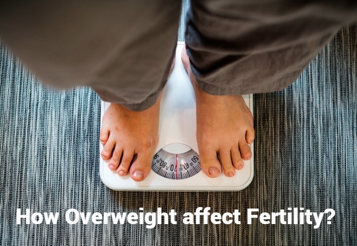 How Overweight affect Fertility?