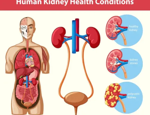 What happens when kidneys fail?
