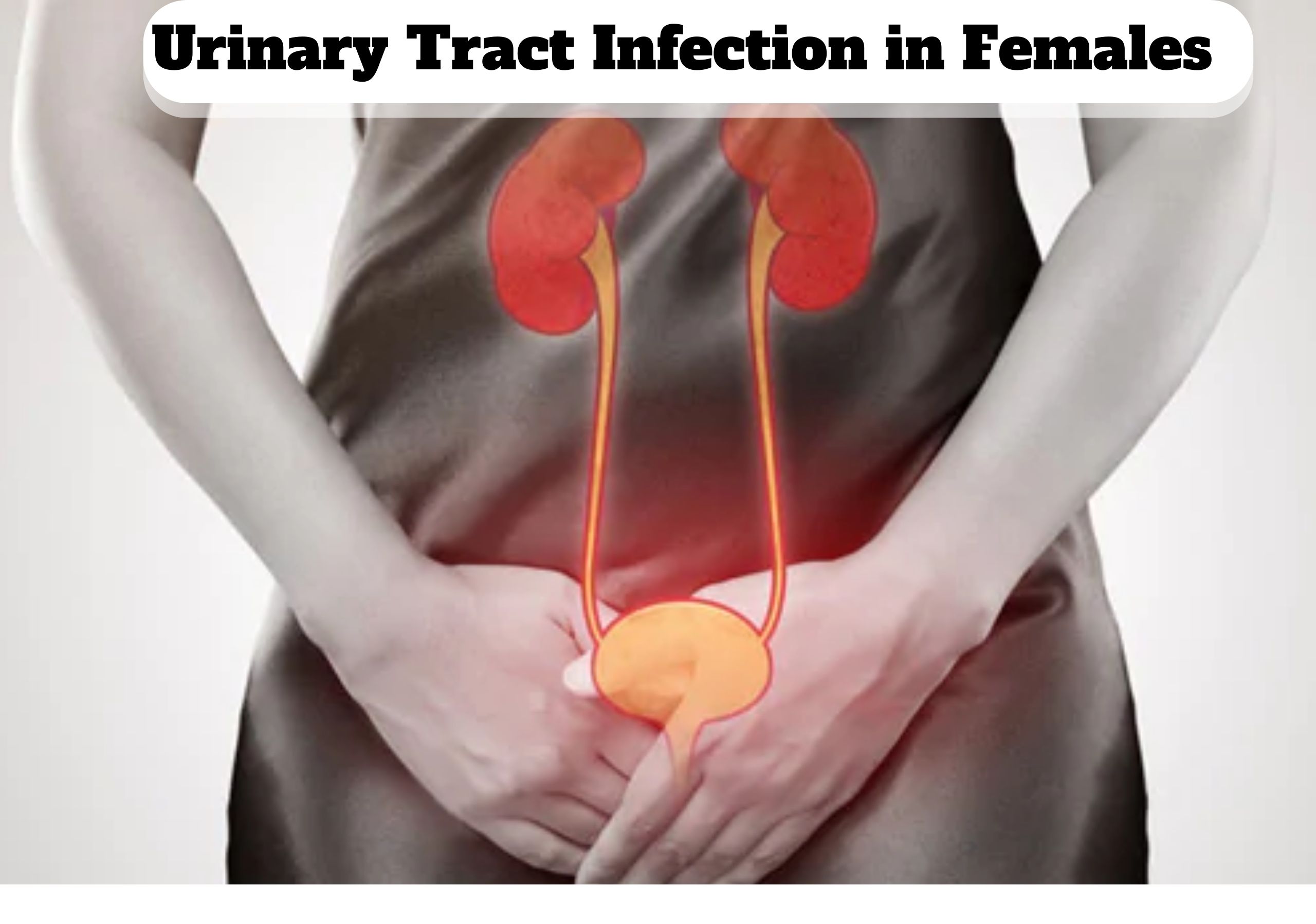 Urinary Tract Infection in Females
