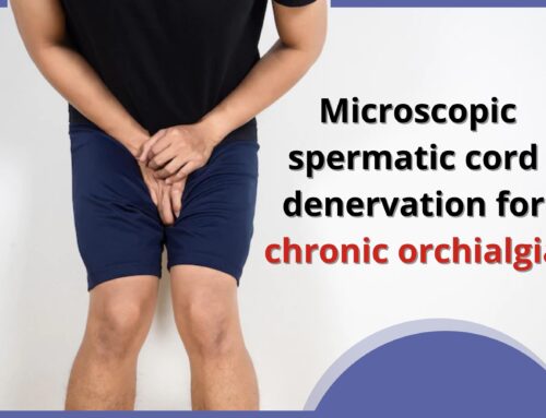 Microscopic spermatic cord denervation for chronic orchialgia